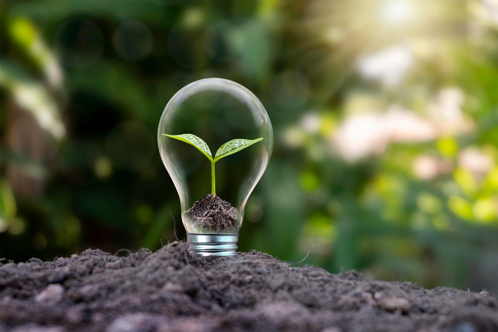 img-sostenibilita-ambientale.jpeg