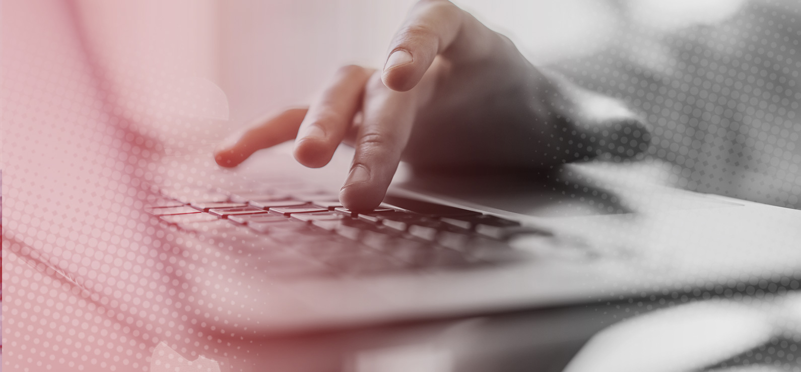 RIVENDITORE APPLE E PARTNER GOLD ADOBE